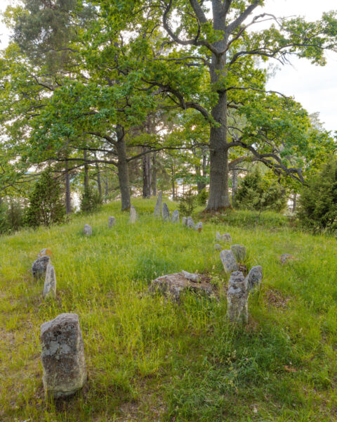 Skeppssättning på Gumhems gravfält vid Jätteudden, med resta stenar i grönt gräs under stora lövträd vid sjön Åsunden