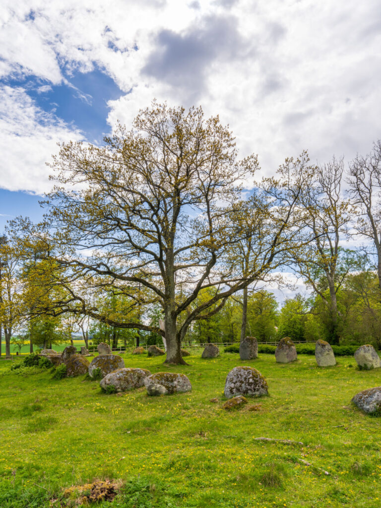 Nässja domarring, en imponerande stenkrets omgiven av grönt gräs och lövträd på våren, Vadstena kommun i Östergötland