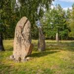 Resta stenar på Klockaregårdens gravfält i Mjölby kommun, omgivna av björkar och grönt gräs en solig höstdag