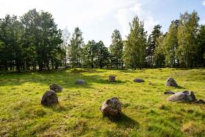 Klockaregårdens gravfält i Mjölby med stora stenar utspridda på grönt gräs, omgivet av lövträd och björkar i solsken