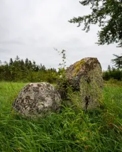 Gravfältet på Skäljen