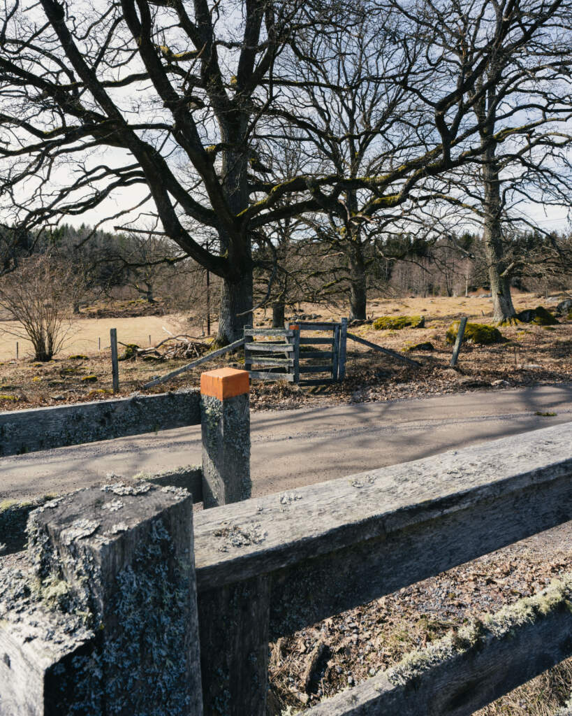 Trägrind och stängsel vid betesmark med knotiga ekar i Tokorps naturreservat längs Tokorpleden, tidig vår i Östergötland