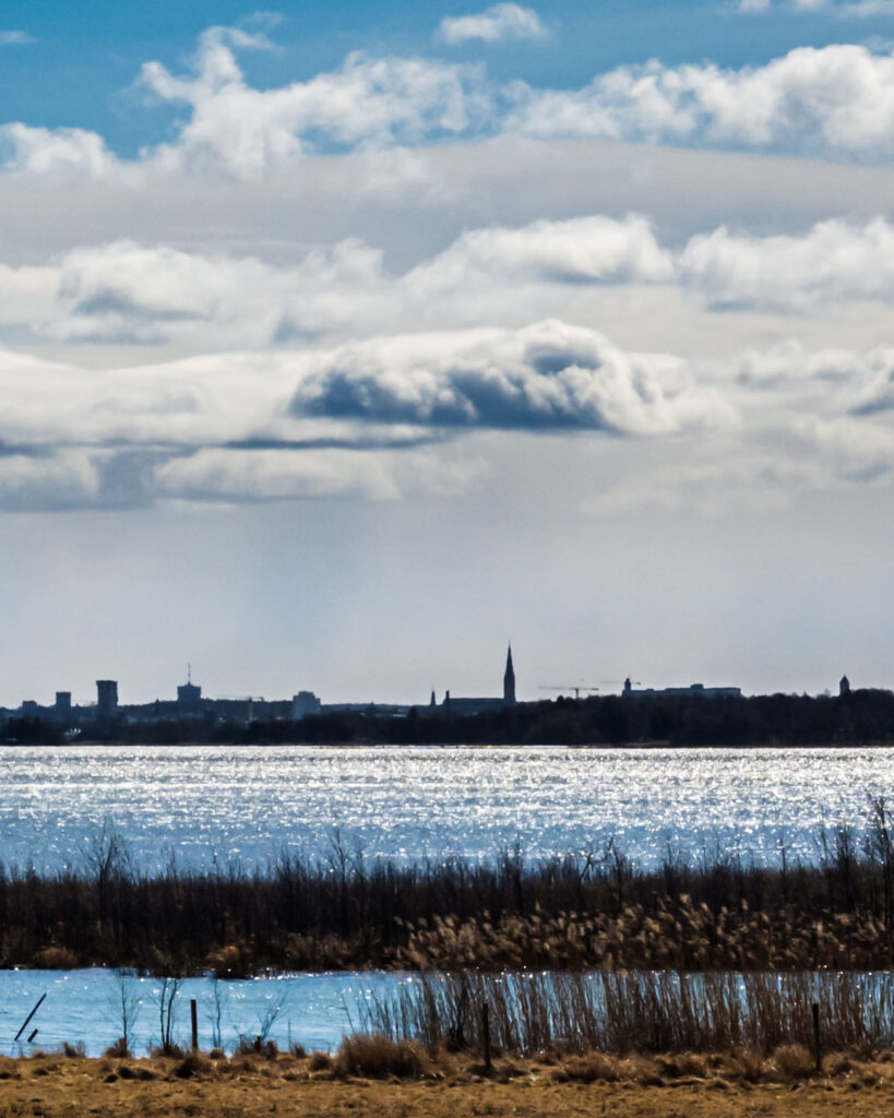 Vy över glittrande vatten med vass mot Linköpings stadssiluett och kyrktorn under molnig himmel