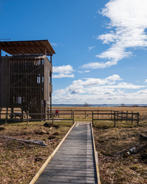 Träfågeltorn vid Kungsbro naturreservat med spång som leder ut mot strandängar och vatten under blå himmel.