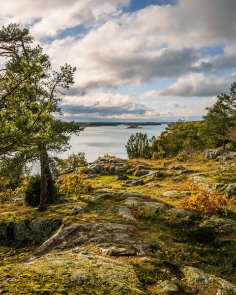 Utsikt över sjön Roxen från Tångestads fornborg med mosstäckta klippor, tallar och höstfärgad vegetation under dramatisk himmel.