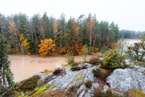 Utsikt från klippa över Dalmyrasjöns grumliga vatten omgivet av höstfärgad blandskog i disigt väder, Norrköpings kommun