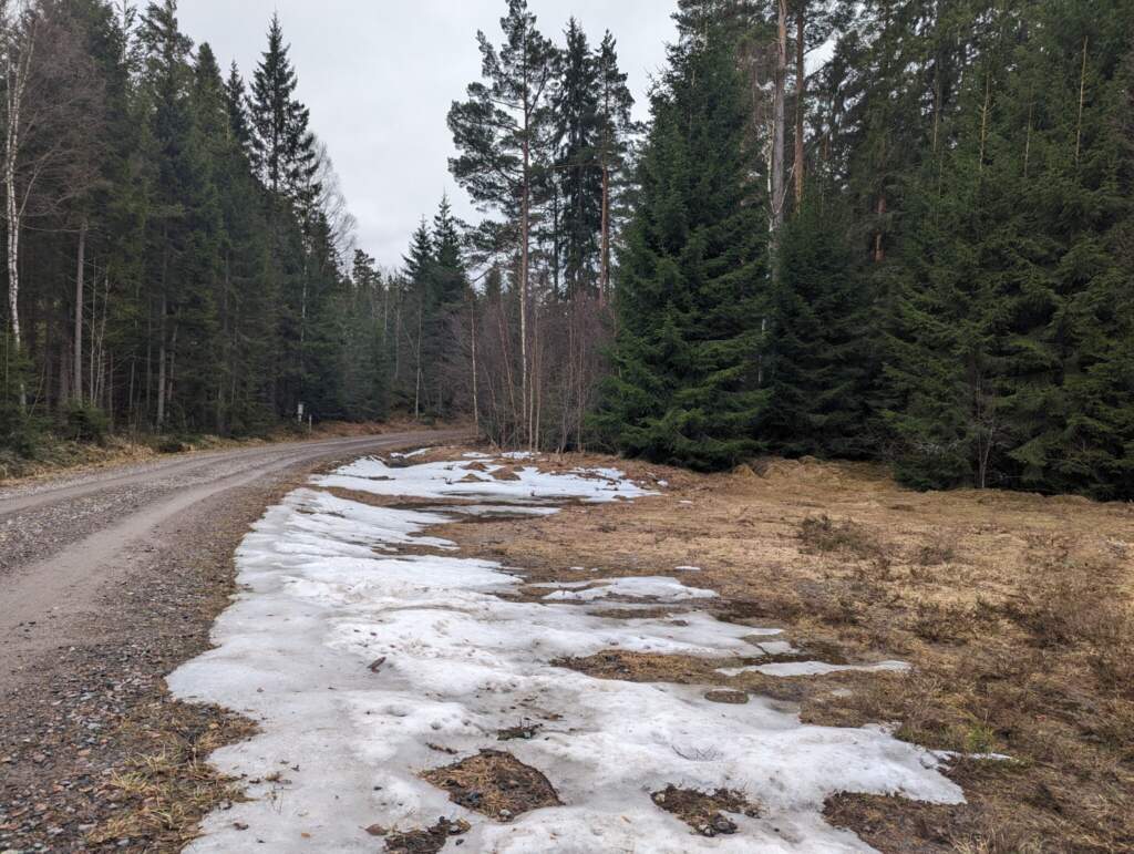 Grusväg med smältande snörester vid parkering intill Hästtumla naturreservat, omgiven av barrskog och björkar en tidig vårdag.