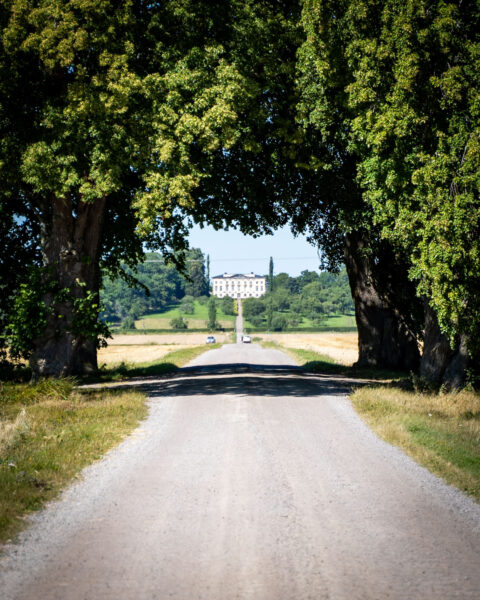 portal av stora lövträd som bildar en naturlig portal mot Ulvåsa slott i sommarlandskap, Motala kommun, Östergötland