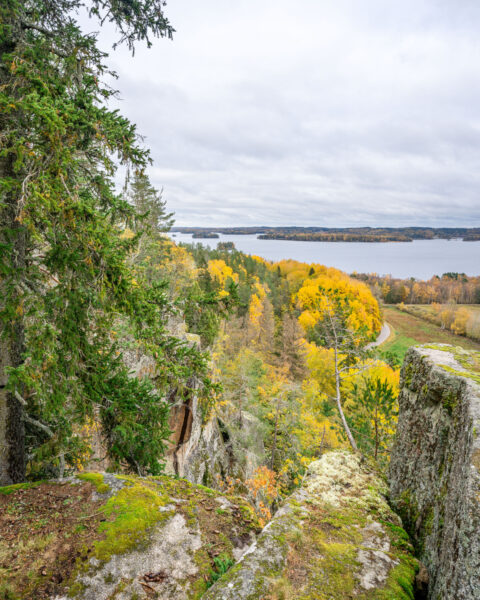 Utsikt från Klevberget i höstfärger med mosstäckta klippor, gulnande lövträd, granar och Ärlången i bakgrunden, Kinda kommun