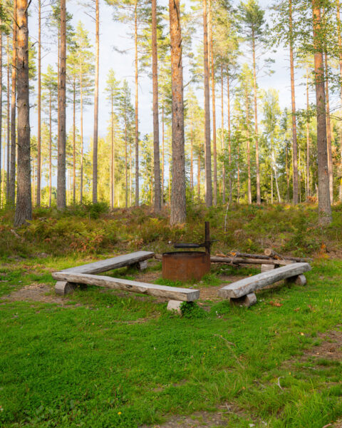 Grillplatsen nära Perkils kättil