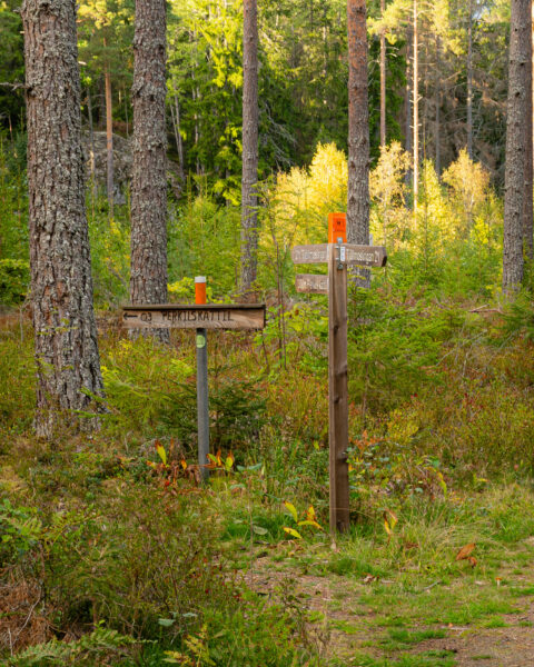 Vägskyltar i skogen som pekar mot Perkils kättil och Tjällmoslingan, omgivna av höstfärgade träd och tallstammar i Östergötland.