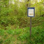 Informationsskylt om en fångstgrop i lövskogen i naturreservatet Sjöbo-Knäppan, omgiven av frodig grönska på våren.