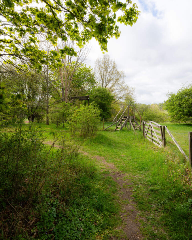 Gräsbevuxen stig som leder till en trästätta över ett stängsel i Sjöbo-Knäppans naturreservat, omgivet av grön betesmark och lövträd.