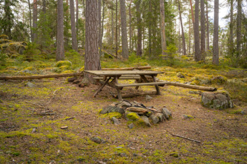Rastplats med bänkbord och eldstad av stenar i Hinnerstorp naturreservat, omgiven av mossbeklädd mark och gamla tallar.