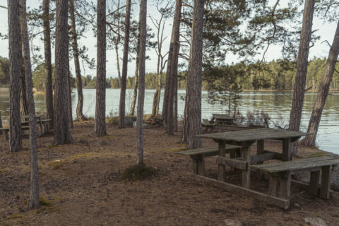 Rastplats med träbänk och bord bland tallar vid sjön på Juniön, Västanvik i Motala kommun, Östergötland