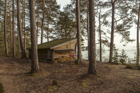 Vindskydd i timmer med vedförråd bland tallstammar vid Västanvik, med utsikt över Vättern i Motala kommun