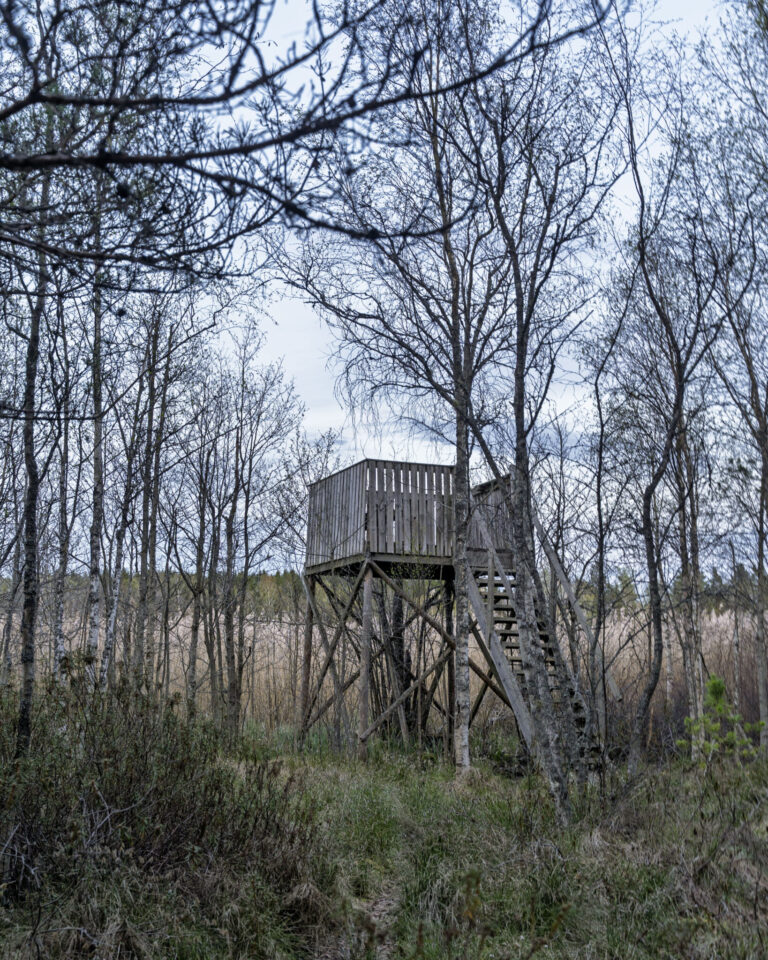 Fågeltornet i Odensbergsviken vid Västanvik