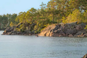 Klippig strandlinje med tallar vid Västanvik, Vättern, längs Östgötaleden i Motala kommun
