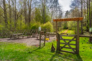 Entré till Bellas naturstig i Västanvik med trägrind, skylt, rastplats med bänkar och grillplats omgiven av grön vårskog.