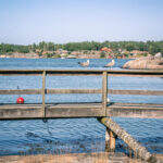 Måsar på en träbrygga i Arkösund med skärgårdsvy över klippor, stugor och tallskog i bakgrunden en solig dag.