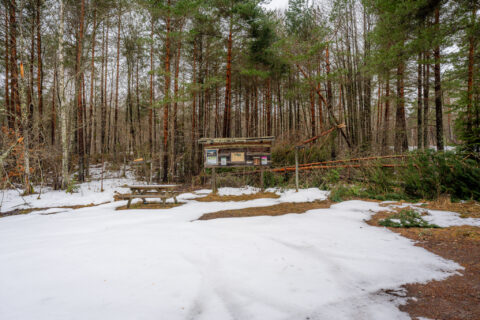 Snötäckt rastplats med sittbänk och informationstavla i tallskog vid Kvillingeforkastningens naturreservat, Norrköping
