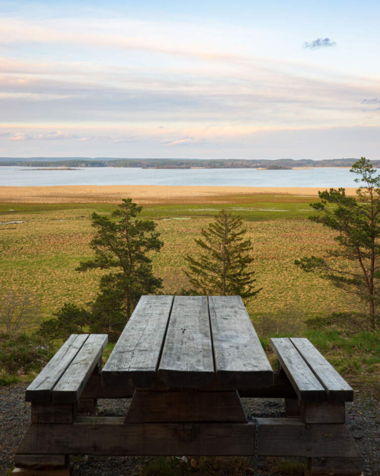 Rastplats med träbänk och utsikt över Svensksundsvikens strandängar och havsvik i Östergötland, med låga tallar i förgrunden