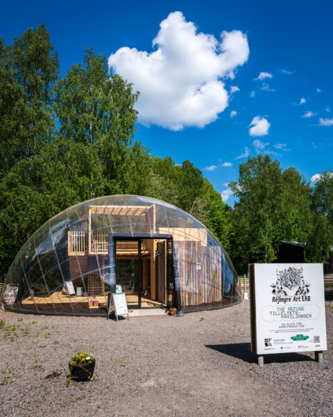 Rejmyre Art Labs tillflyktspaviljon, en kupol av trä och transparent plast, omgiven av grönskande björkar en sommardag