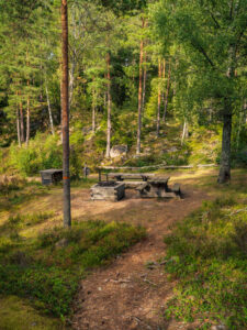 Rastplats med eldstad och picknickbord i tallskog vid vandringsleden i Strussjöskogen naturreservat, Finspång.
