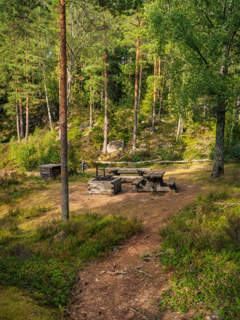 Rastplats med eldstad och picknickbord i tallskog vid vandringsleden i Strussjöskogen naturreservat, Finspång.
