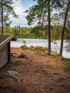 Vindskydd vid Strussjöns strand omgivet av tallskog i Strussjöskogen naturreservat, Finspångs kommun.