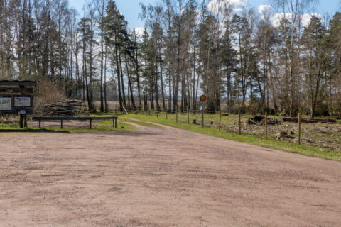 Grusad parkering vid Svälinge fågeltorn nära Tåkern med informationstavla, skogsväg och blandskog i vårsol.