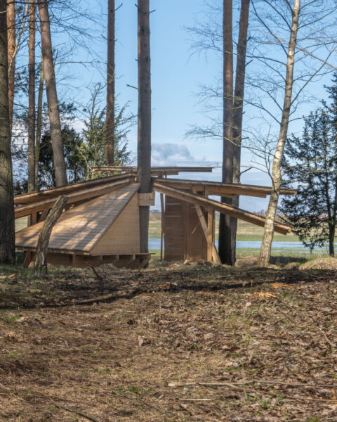 Arknat Solfjädern, en designad rastplats i trä med solfjäderformat tak bland tallar vid Tåkern, Östergötland