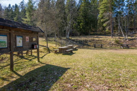 Rastplats vid Ombergsliden med informationstavla, sittbänkar och piknikbord på en solig gräsyta omgiven av skog längs Orkidéstigen.