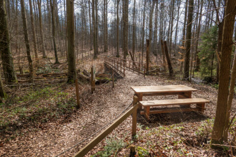 Träbänk och picknickkbord vid skogsled i lövskog på Omberg, med träbro och höstlöv längs stigen vid Stocklyckebäcken.