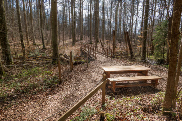 Träbänk och picknickkbord vid skogsled i lövskog på Omberg, med träbro och höstlöv längs stigen vid Stocklyckebäcken.