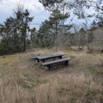 Rastplats med träbänk och bord omgiven av tallar och torrt gräs, med utsikt mot Vättern längs Södra vägen nära Stocklycke, Ödeshög
