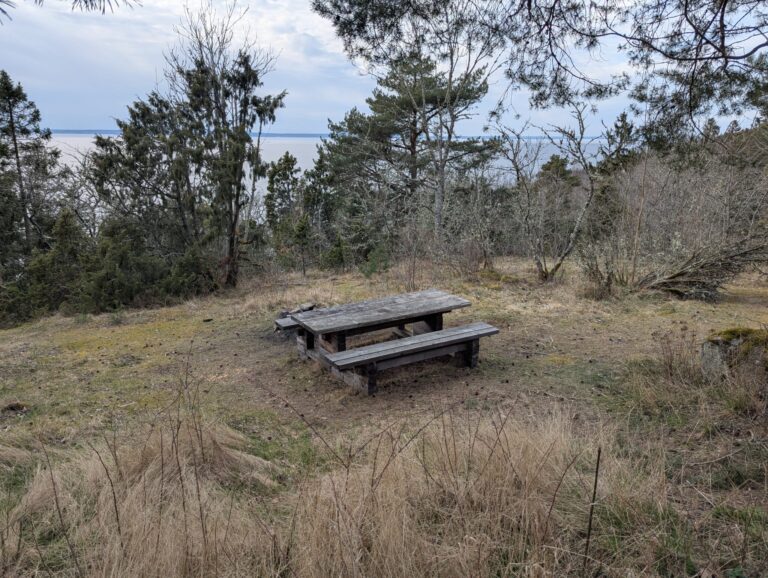 Rastplats med träbänk och bord omgiven av tallar och torrt gräs, med utsikt mot Vättern längs Södra vägen nära Stocklycke, Ödeshög