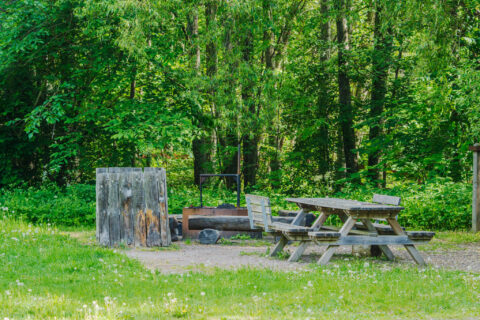 Rastplats med träbänk, grillplats och soptunna i grönskande skog vid Kärna mosse naturreservat i Östergötland.