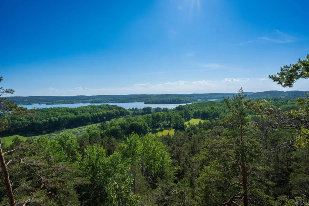 Utsikt från Hästenäs kyrkskog över grönskande lövskog, ängsmarker och en glittrande sjö en solig sommardag i Östergötland