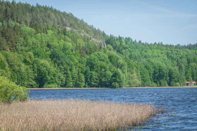 Ekhultebergen naturreservats vandringsled