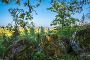 Mossbeklädda stenblock vid utsiktsplatsen längs Ristskeda reservatled med utsikt över grönskande skog och landskap i Östergötland