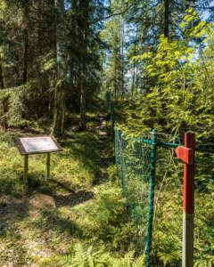 Skogsstig med informationsskylt och grönt stängsel vid Åsebro gruvområde nära Hällestad i Finspångs kommun, Östergötland