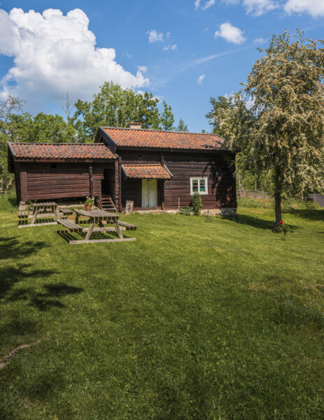 Gruvstugan i Hällestad, en timmerstuga med tegeltak omgiven av grön gräsmatta, träbänkar och blommande träd en sommardag.