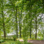 Lummig lövträdsdunge vid Ellen Keys Strand på Omberg med stig genom grönskan och byggnadstak skymtande i bakgrunden