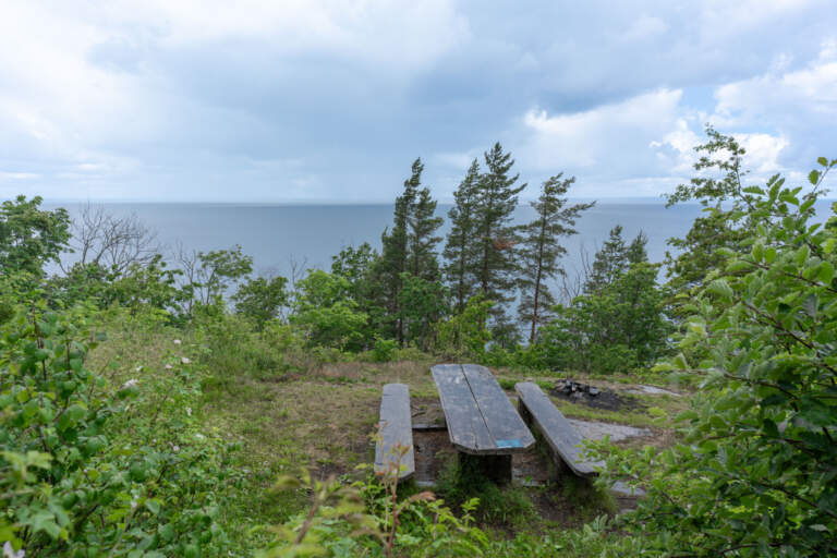Rastplats med träbänkar och bord vid utsiktsplats nära Pers Sten på Omberg, med utsikt över Vättern genom tallarna