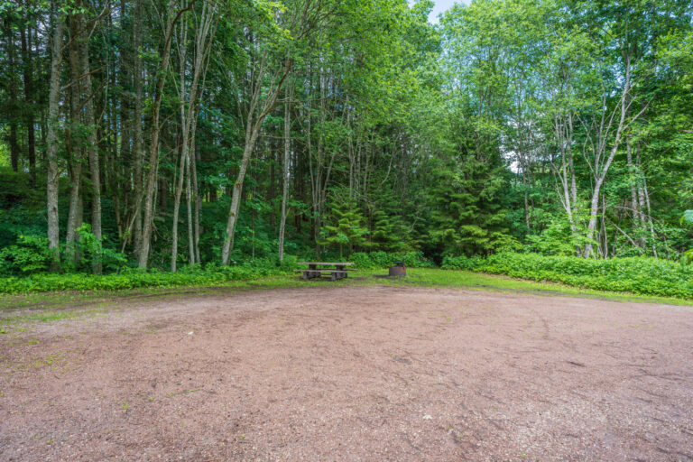 Stor grusad parkering vid Storpissan naturreservat på Omberg, omgiven av tät lövskog med ett picknickbord och grillplats i skogsbrynet