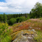 Lavklädda hällar vid fornborgen Borggården på Omberg med utsikt över grön blandskog en sommardag längs Älvarumsleden