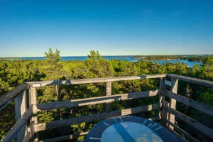 Utsikt från Eköns utsiktstorn över tallskog och Gryts skärgård i Östergötland en solig sommardag