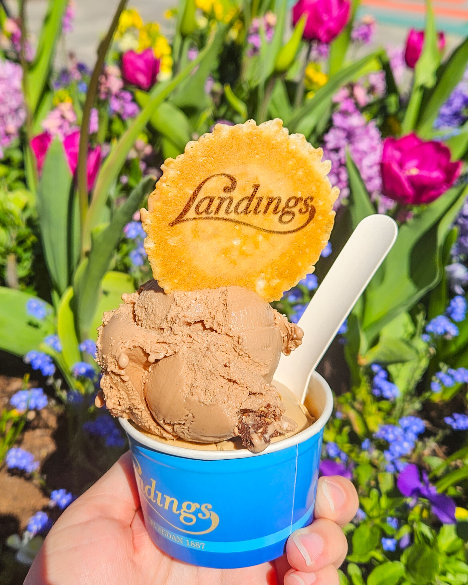Chokladglass i blå bägare från Landings Konditori i Uppsala, toppad med en rån med Landings logotyp, mot en bakgrund av färgglada tulpaner och vårblommor.