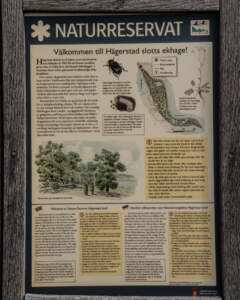 Informationsskylt för naturreservatet Hägerstad slotts ekhage med karta, illustrationer av ekar och läderbaggar samt text på svenska, engelska och tyska.